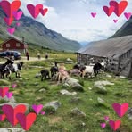 Inger Eide - Facebook