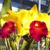Inger Marie Hammer - Facebook