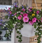 Inger Hedlund - Facebook