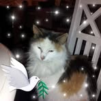 Inger Hedlund - Facebook