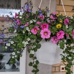 Inger Hedlund - @hedlundinger - Instagram