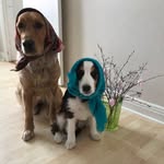 inger hedlund - @inger9846 - Instagram