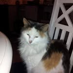 Inger Hedlund - @inger2154 - Instagram