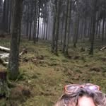 Inger Hill - @ingerhill - Instagram