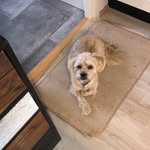 Inger Hillgaard - @ingerhillgaard - Instagram