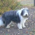Inger Holstmark - @ingerholstmark - Instagram