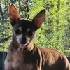 Kimberly Miller Peni - @kimberlymillerpeninger - TikTok