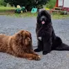 Inger Moen Lybekk - @inger.moen.lybekk - TikTok