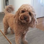 Inger Nelson Wahlberg - @nelsonwahlberg - Instagram