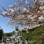 Inger-Marie Nielsen - @dagbog_fra_japan - Instagram