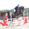 NadjaIngerNielsen - @nadjaingernielsen - TikTok