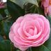Inger Parker - Facebook