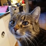 Inger Marianne Pettersson - @ingermariannepettersson - Instagram
