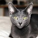 Inger Pettersson - @inger5006 - Instagram