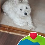 Inger Pettersson - @inger_petterssons51_ - Instagram