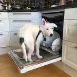 Inger Pettersson - @ingerpettersson_ - Instagram