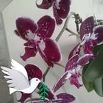 Inger Pettersson - @inger.pettersson.14855 - Instagram