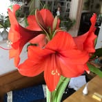 Inger Pettersson - Facebook