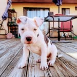 @shawinger304 - Instagram