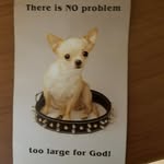 Ginger Wilson - @ginger.wilson.773 - Instagram