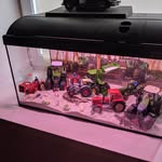 Ingo Christiansen - @ingo.christiansen.71 - Instagram