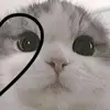 Ingrid Ali - @ingrid.ali5 - TikTok