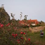 Ingrid Andersen - Facebook