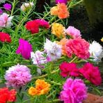 Ingrid Aparicio - Facebook