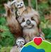 Ingrid Van Best - Facebook