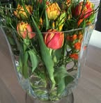 Ingrid Bohn - Facebook