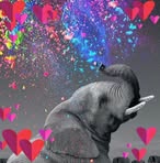 Ingrid Gutierrez Camargo - Facebook