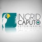 Ingrid Caputo Veterinária - @ingrid.vet.selvagens - Instagram