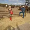 Ingrid Carpenter - @ingridcarpenter - TikTok