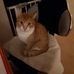 Ingrid Casper - Facebook