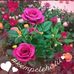 Ingrid Chonay - Facebook