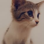 RoseIngridChase - @rose_ingrid_chase - Instagram