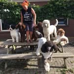 Ingrid Cheng - @ingrid.cheng.92 - Instagram