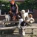 Ingrid Cheng - Facebook