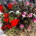 Ingrid Coche - Facebook