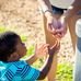 Komo Ingrid Madilyn Cohen - Facebook