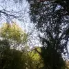 IngridCole - @ilovecandycorn121 - TikTok