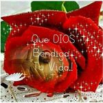 Ingrid Colindres - @icolindres15 - Instagram
