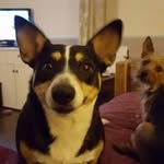Ingrid Conway Bliss - @ingridbliss - Instagram