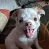 Ingrid Conway Bliss - @ingrid.conway.bli - TikTok