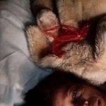 Ingrid Cooper - @ingrid.cooper.587 - Instagram