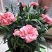 Ingrid Cooper - Facebook