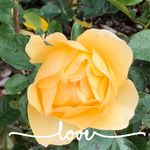 Ingrid Cooper - @ingrid.cooper.16 - Instagram