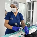 M.V. Ingrid Cooper - Dermatologia & Otologia - Belém e região - @vet.ingridcooper - Instagram