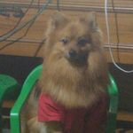 Mathias Gutierrez Corrales - @ingrid.corrales.mariscal.15 - Instagram