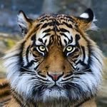 Ingrid. cramer - @ingrid._cramer - Instagram